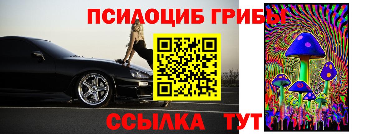 Псилоцибиновые грибы прущие грибы Коммунар